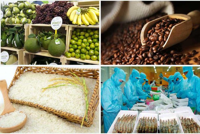 Les exportations de produits agricoles, sylvicoles et aquacoles dépasseront l’objectif fixé